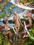 David LaChapelle - The birth of Venus