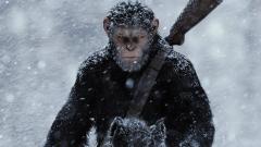 War of the Apes