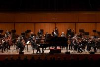 Concerto. Foto di insieme