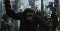 Apes Revolution Apes Revolution