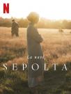 navesepolta