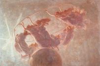 Danza delle ore